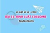 Định luật Coulomb, công thức biểu thức? Sự tương tác giữa các điện tích? Vật lí 11 bài 11 CTST